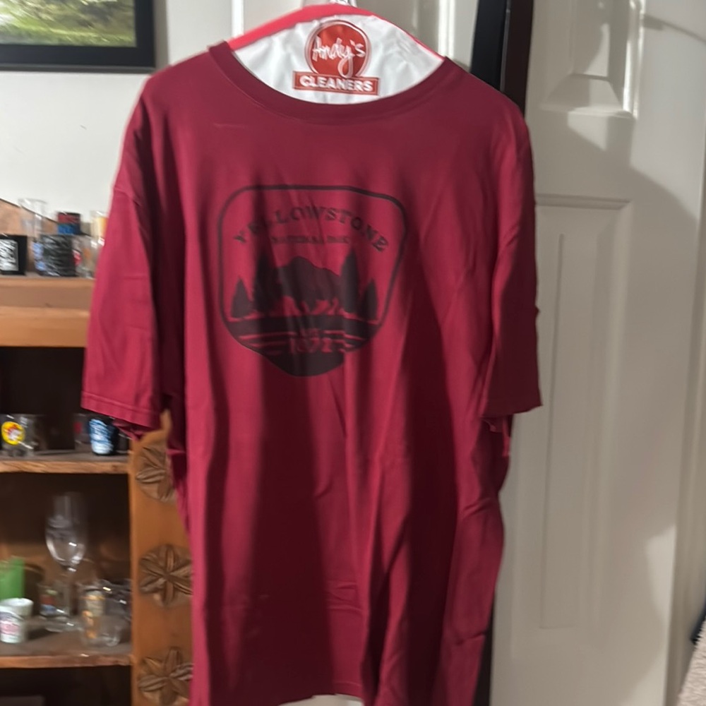 The North Face Red Shirt